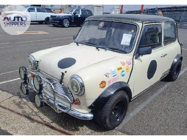 Mini Cooper - RoRo - USA(1)